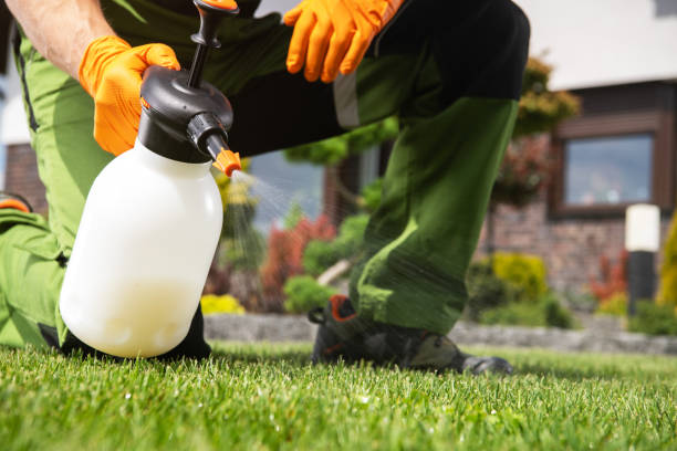 Best Best Pest Control Companies  in Wyandotte, MI