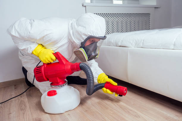 Best Pest Control for Homes  in Wyandotte, MI