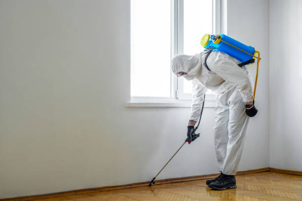 Best Bed Bug Extermination  in Wyandotte, MI