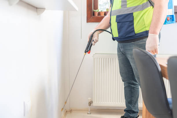 Best Rat Extermination Near Me  in Wyandotte, MI