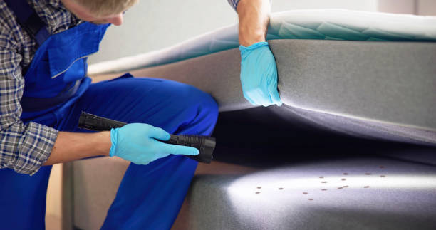 Best Wasp Removal Services  in Wyandotte, MI