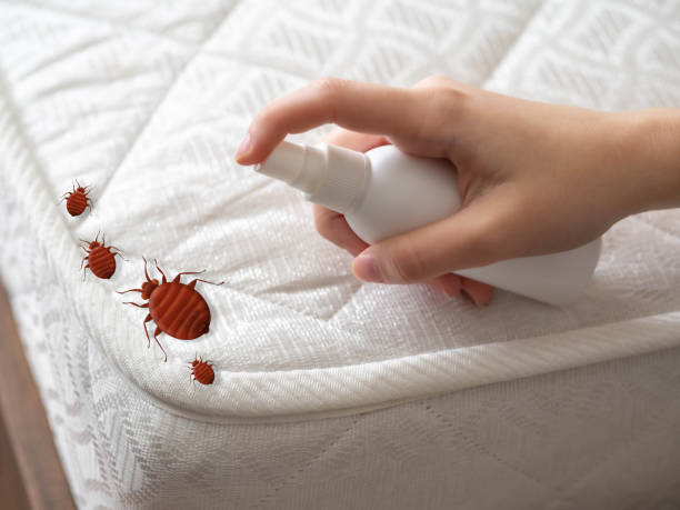 Best Pest Inspection Near Me  in Wyandotte, MI