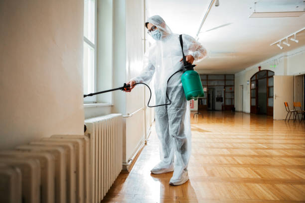 Best Local Pest Control Services  in Wyandotte, MI
