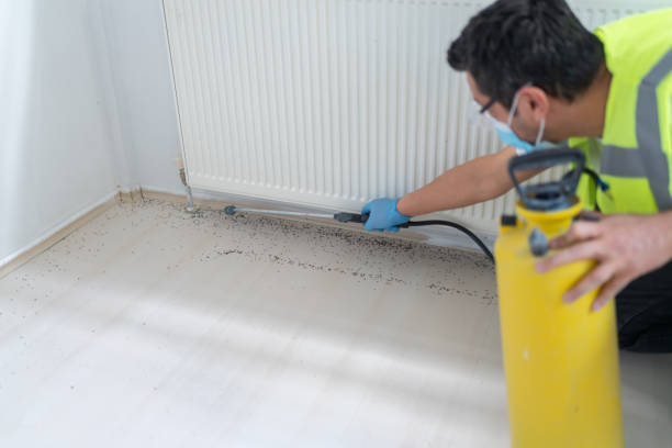 Best Mosquito Control Services  in Wyandotte, MI