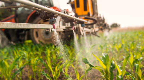 Best Pest Removal Services  in Wyandotte, MI