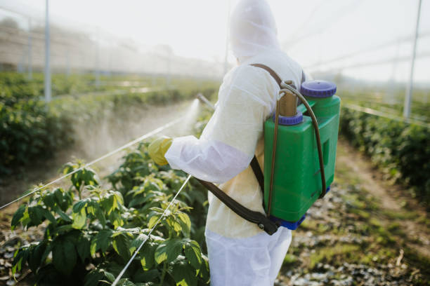 Best Affordable Pest Control Services  in Wyandotte, MI